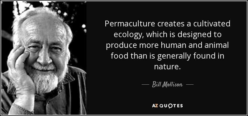 Permaculture creates a cultivated ecology, which is designed to produce more human and animal food than is generally found in nature. - Bill Mollison
