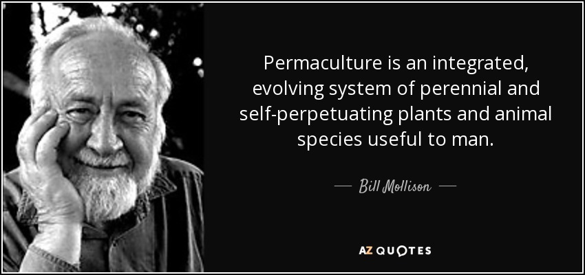 Permaculture is an integrated, evolving system of perennial and self-perpetuating plants and animal species useful to man. - Bill Mollison