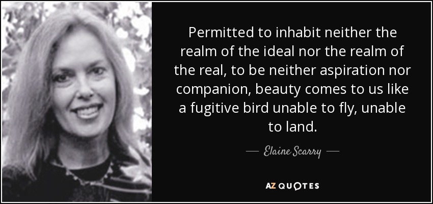 Permitted to inhabit neither the realm of the ideal nor the realm of the real, to be neither aspiration nor companion, beauty comes to us like a fugitive bird unable to fly, unable to land. - Elaine Scarry