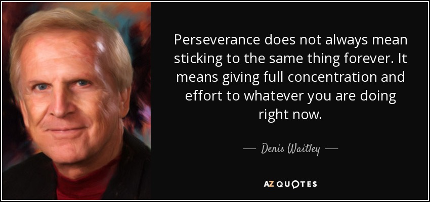 Perseverance does not always mean sticking to the same thing forever. It means giving full concentration and effort to whatever you are doing right now. - Denis Waitley