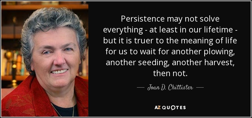 Persistence may not solve everything - at least in our lifetime - but it is truer to the meaning of life for us to wait for another plowing, another seeding, another harvest, then not. - Joan D. Chittister