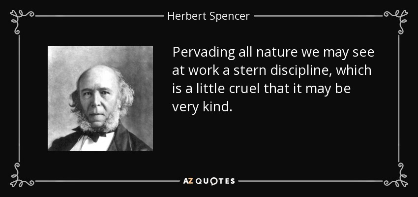 Pervading all nature we may see at work a stern discipline , which is a little cruel that it may be very kind. - Herbert Spencer
