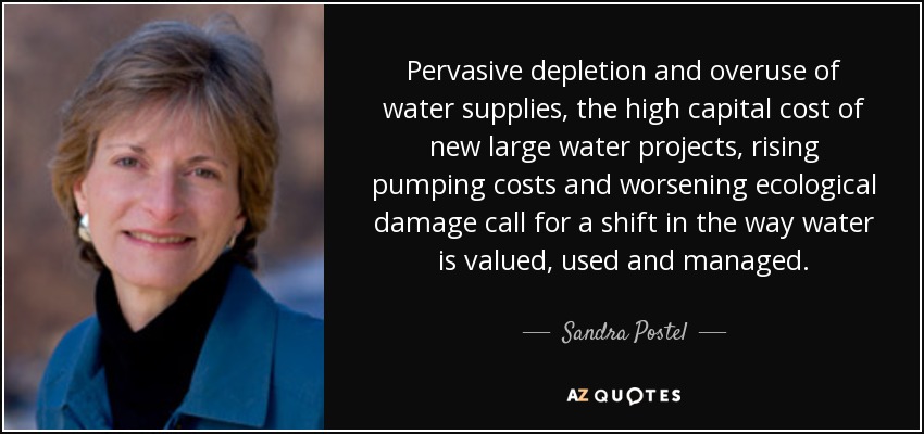 Pervasive depletion and overuse of water supplies, the high capital cost of new large water projects, rising pumping costs and worsening ecological damage call for a shift in the way water is valued, used and managed. - Sandra Postel