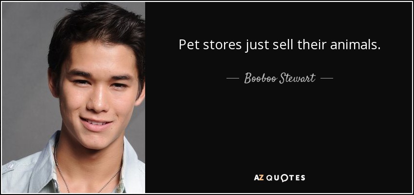 Pet stores just sell their animals. - Booboo Stewart