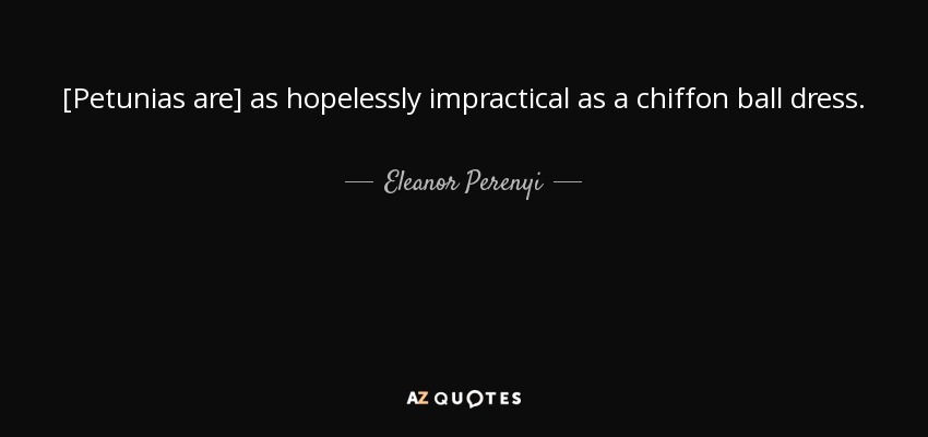 [Petunias are] as hopelessly impractical as a chiffon ball dress. - Eleanor Perenyi