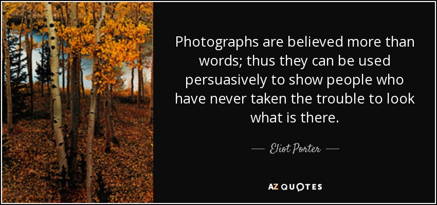 Photographs are believed more than words; thus they can be used persuasively to show people who have never taken the trouble to look what is there. - Eliot Porter