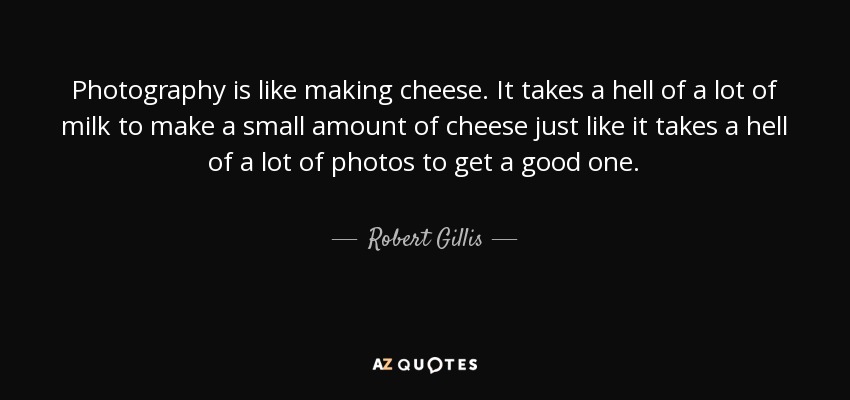 Photography is like making cheese. It takes a hell of a lot of milk to make a small amount of cheese just like it takes a hell of a lot of photos to get a good one. - Robert Gillis