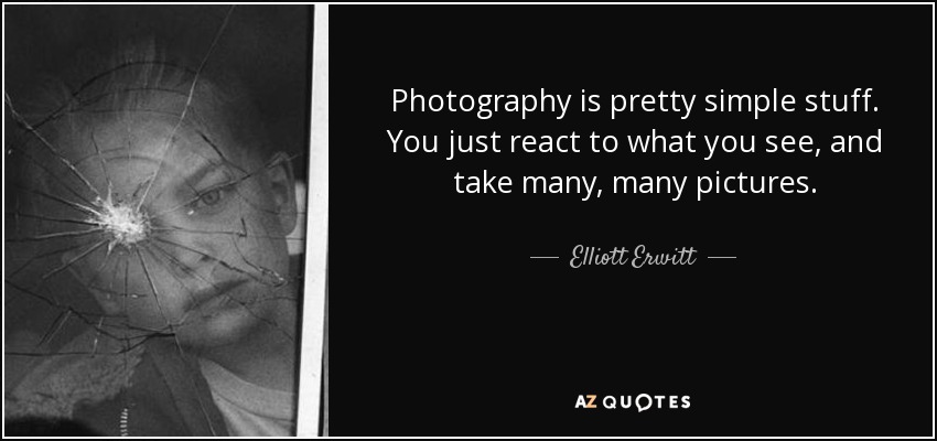 Photography is pretty simple stuff. You just react to what you see, and take many, many pictures. - Elliott Erwitt