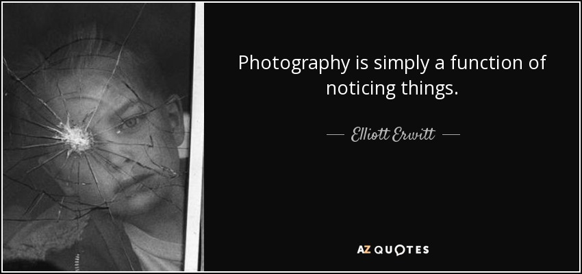 Photography is simply a function of noticing things. - Elliott Erwitt