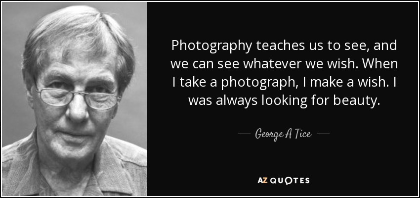 Photography teaches us to see, and we can see whatever we wish. When I take a photograph, I make a wish. I was always looking for beauty. - George A Tice