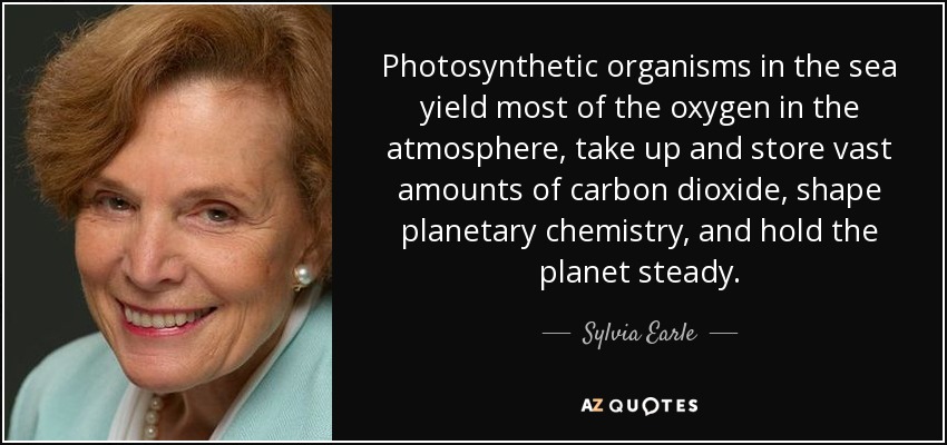 Photosynthetic organisms in the sea yield most of the oxygen in the atmosphere, take up and store vast amounts of carbon dioxide, shape planetary chemistry, and hold the planet steady. - Sylvia Earle