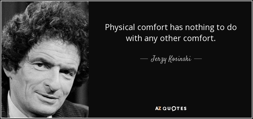 Physical comfort has nothing to do with any other comfort. - Jerzy Kosinski