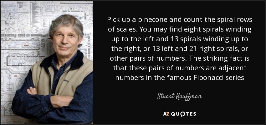 Pick up a pinecone and count the spiral rows of scales. You may find eight spirals winding up to the left and 13 spirals winding up to the right, or 13 left and 21 right spirals, or other pairs of numbers. The striking fact is that these pairs of numbers are adjacent numbers in the famous Fibonacci series - Stuart Kauffman
