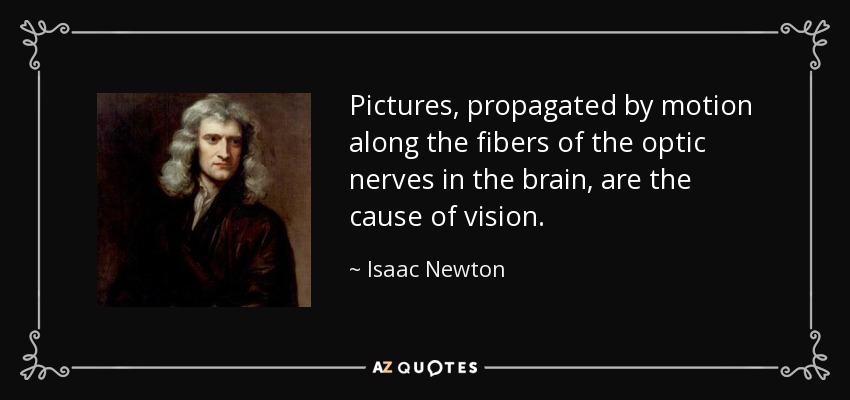 Pictures, propagated by motion along the fibers of the optic nerves in the brain, are the cause of vision. - Isaac Newton