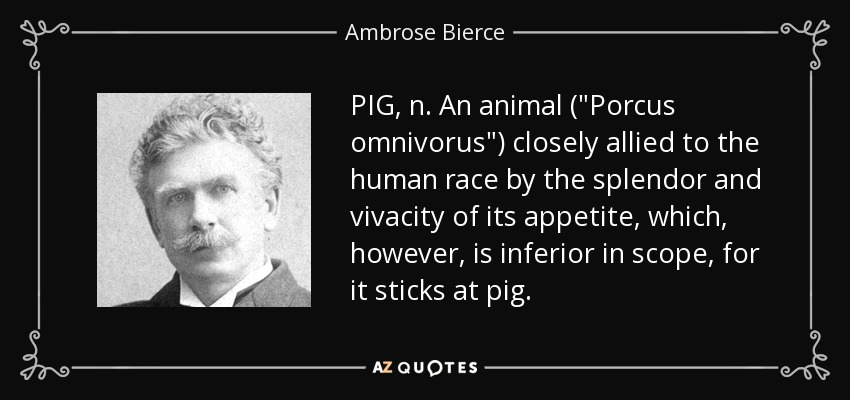 PIG, n. An animal (