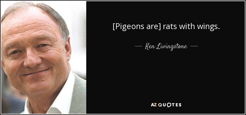 [Pigeons are] rats with wings. - Ken Livingstone