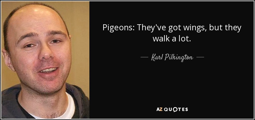 Pigeons: They've got wings, but they walk a lot. - Karl Pilkington