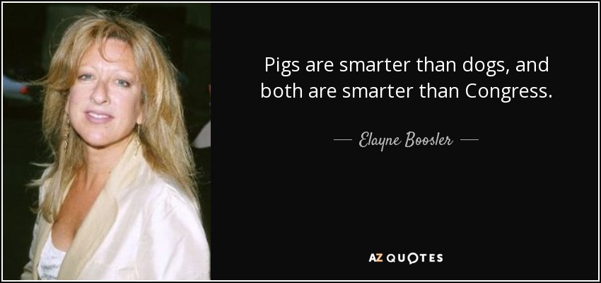 Pigs are smarter than dogs, and both are smarter than Congress. - Elayne Boosler