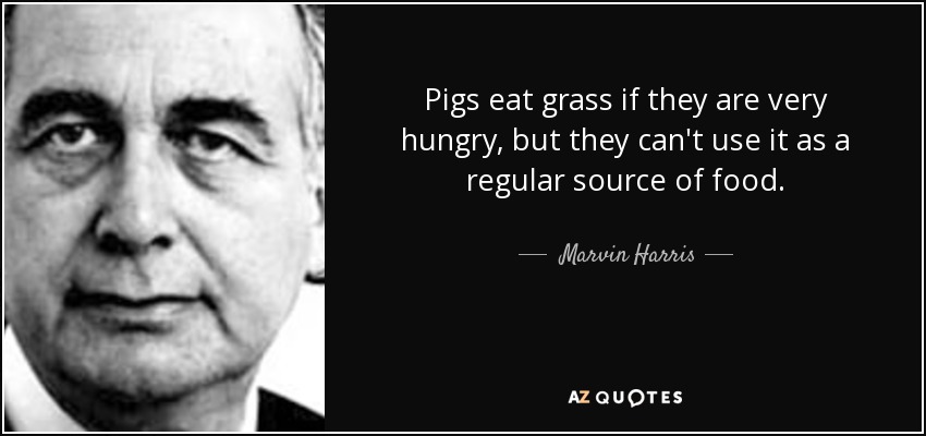 Pigs eat grass if they are very hungry, but they can't use it as a regular source of food. - Marvin Harris