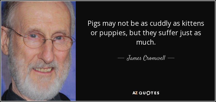 Pigs may not be as cuddly as kittens or puppies, but they suffer just as much. - James Cromwell