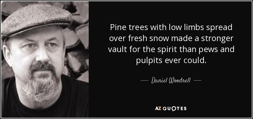 Pine trees with low limbs spread over fresh snow made a stronger vault for the spirit than pews and pulpits ever could. - Daniel Woodrell