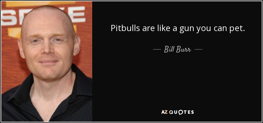 Pitbulls are like a gun you can pet. - Bill Burr