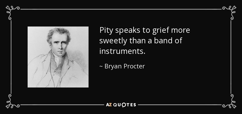 Pity speaks to grief more sweetly than a band of instruments. - Bryan Procter