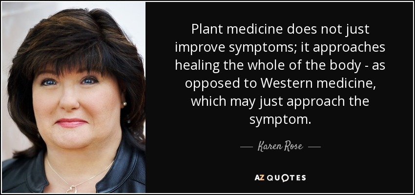 Plant medicine does not just improve symptoms; it approaches healing the whole of the body - as opposed to Western medicine, which may just approach the symptom. - Karen Rose