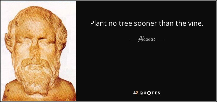 Plant no tree sooner than the vine. - Alcaeus