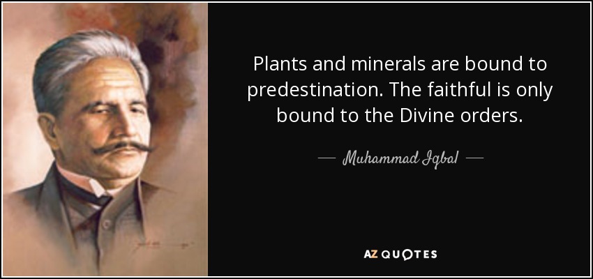 Plants and minerals are bound to predestination. The faithful is only bound to the Divine orders. - Muhammad Iqbal