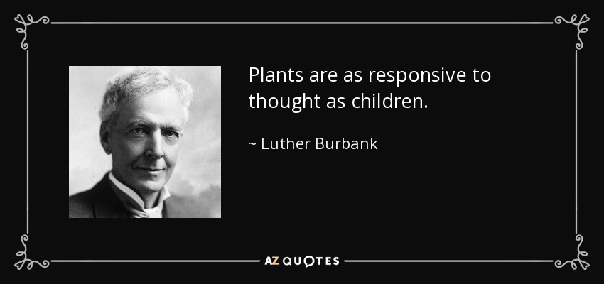 Plants are as responsive to thought as children. - Luther Burbank