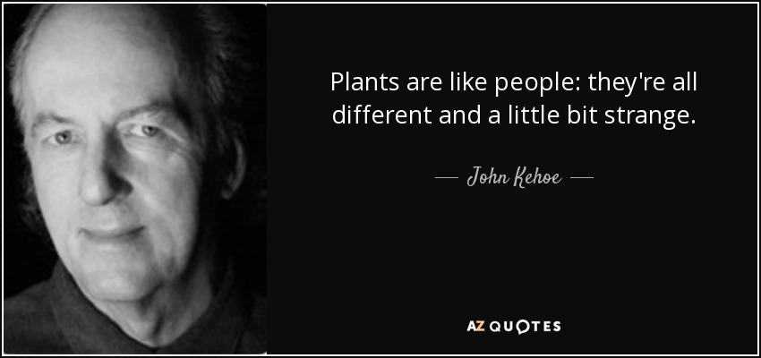 Plants are like people: they're all different and a little bit strange. - John Kehoe