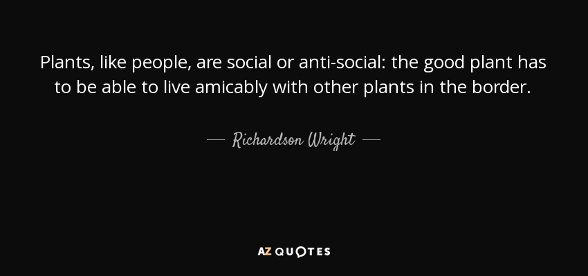 Plants, like people, are social or anti-social: the good plant has to be able to live amicably with other plants in the border. - Richardson Wright