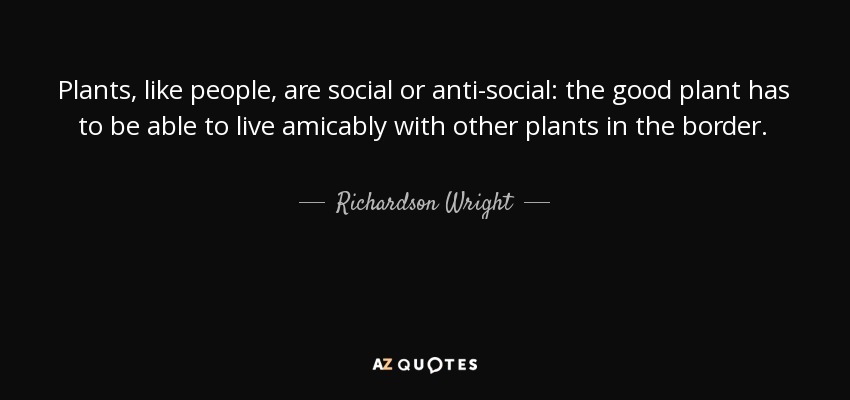 Plants, like people, are social or anti-social: the good plant has to be able to live amicably with other plants in the border. - Richardson Wright