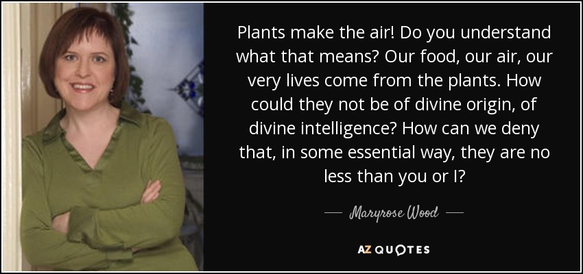 Plants make the air! Do you understand what that means? Our food, our air, our very lives come from the plants. How could they not be of divine origin, of divine intelligence? How can we deny that, in some essential way, they are no less than you or I? - Maryrose Wood