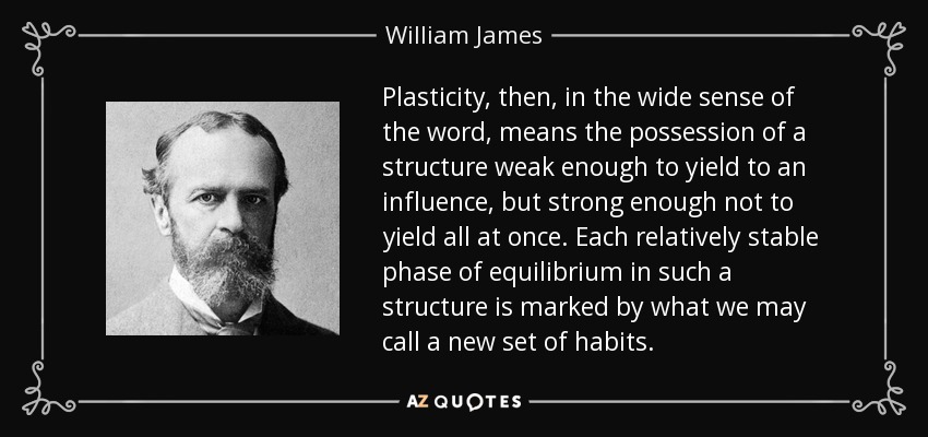 Plasticity, then, in the wide sense of the word, means the possession of a structure weak enough to yield to an influence, but strong enough not to yield all at once. Each relatively stable phase of equilibrium in such a structure is marked by what we may call a new set of habits. - William James