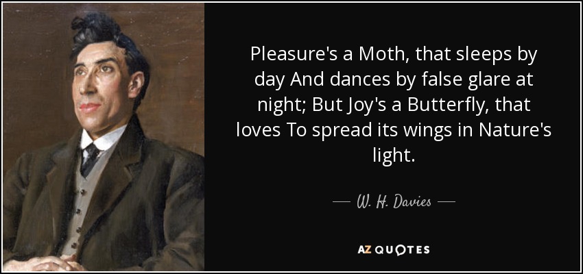Pleasure's a Moth, that sleeps by day And dances by false glare at night; But Joy's a Butterfly, that loves To spread its wings in Nature's light. - W. H. Davies