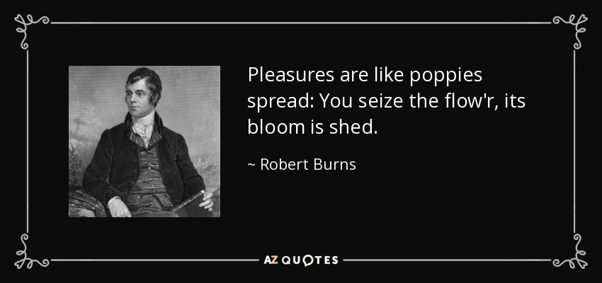 Pleasures are like poppies spread: You seize the flow'r, its bloom is shed. - Robert Burns