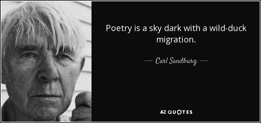 Poetry is a sky dark with a wild-duck migration. - Carl Sandburg