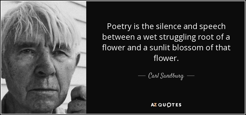 Poetry is the silence and speech between a wet struggling root of a flower and a sunlit blossom of that flower. - Carl Sandburg