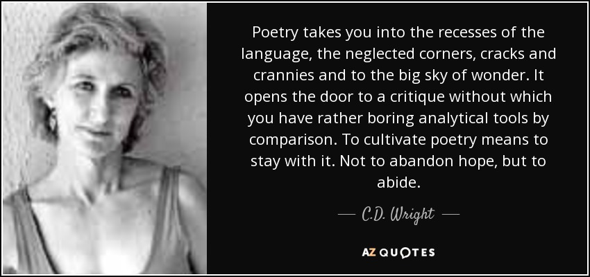 Poetry takes you into the recesses of the language, the neglected corners, cracks and crannies and to the big sky of wonder. It opens the door to a critique without which you have rather boring analytical tools by comparison. To cultivate poetry means to stay with it. Not to abandon hope, but to abide. - C.D. Wright