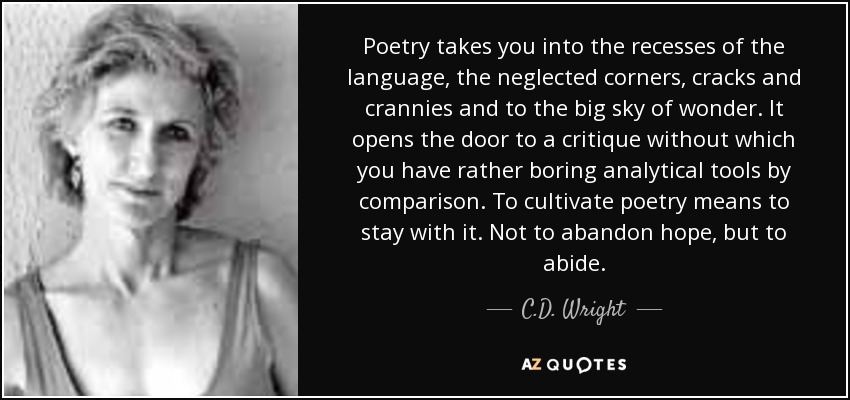 Poetry takes you into the recesses of the language, the neglected corners, cracks and crannies and to the big sky of wonder. It opens the door to a critique without which you have rather boring analytical tools by comparison. To cultivate poetry means to stay with it. Not to abandon hope, but to abide. - C.D. Wright