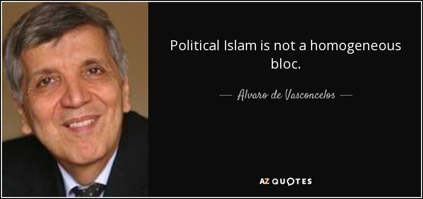 Political Islam is not a homogeneous bloc. - Alvaro de Vasconcelos