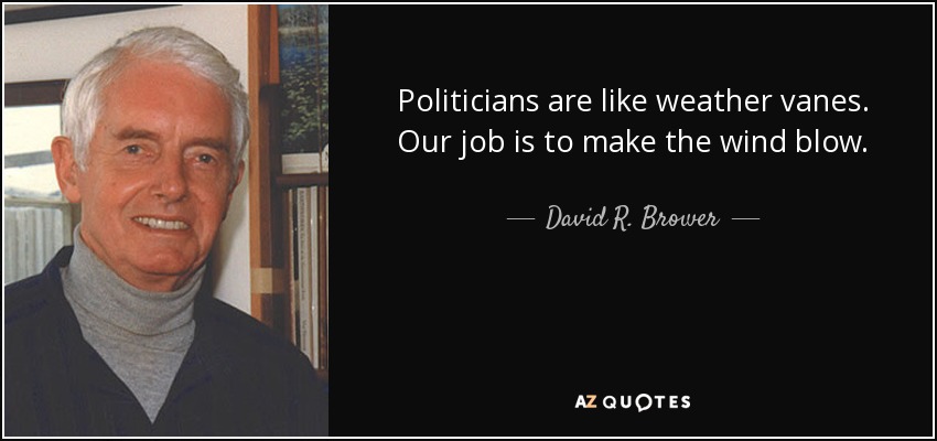 Politicians are like weather vanes. Our job is to make the wind blow. - David R. Brower