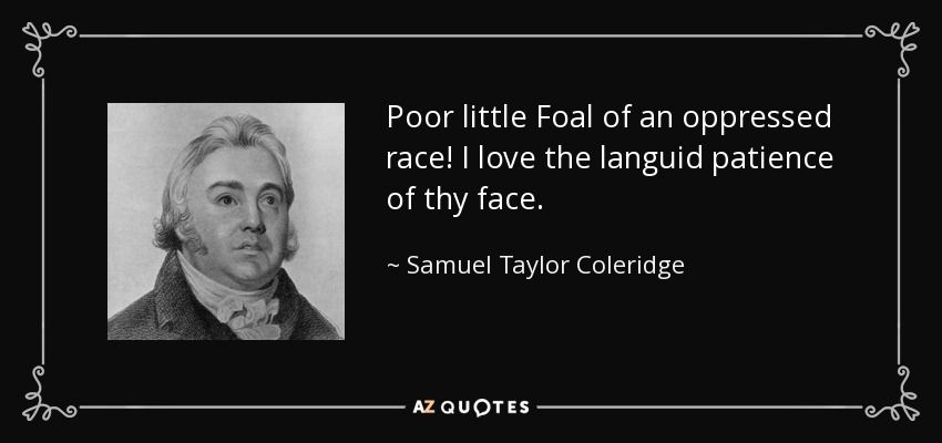 Poor little Foal of an oppressed race! I love the languid patience of thy face. - Samuel Taylor Coleridge