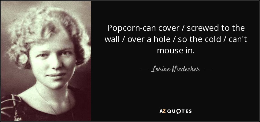 Popcorn-can cover / screwed to the wall / over a hole / so the cold / can't mouse in. - Lorine Niedecker