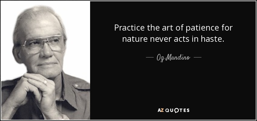 Practice the art of patience for nature never acts in haste. - Og Mandino