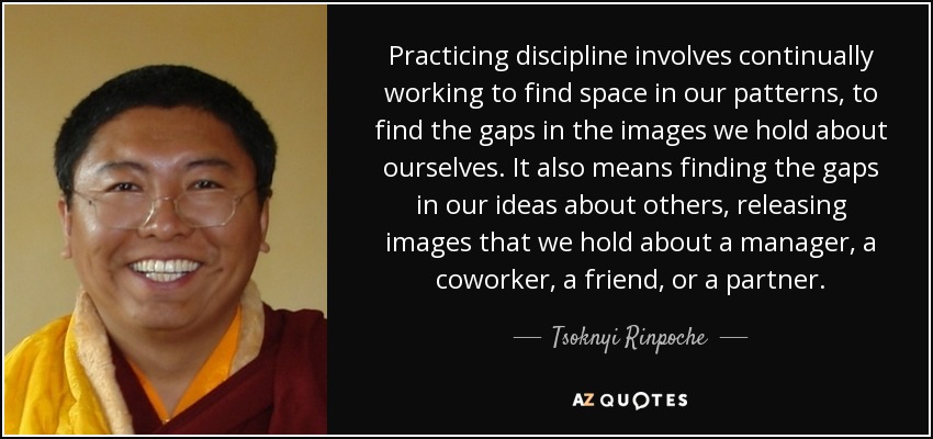 Practicing discipline involves continually working to find space in our patterns, to find the gaps in the images we hold about ourselves. It also means finding the gaps in our ideas about others, releasing images that we hold about a manager, a coworker, a friend, or a partner. - Tsoknyi Rinpoche