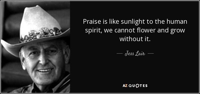 Praise is like sunlight to the human spirit, we cannot flower and grow without it. - Jess Lair