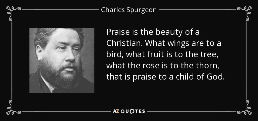 Praise is the beauty of a Christian. What wings are to a bird, what fruit is to the tree, what the rose is to the thorn, that is praise to a child of God. - Charles Spurgeon